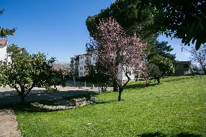 Jardín